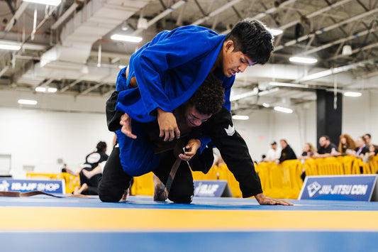 Fight Highlights Reel