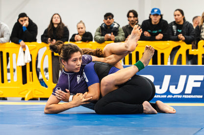 Dual Division Fight Highlights Reel